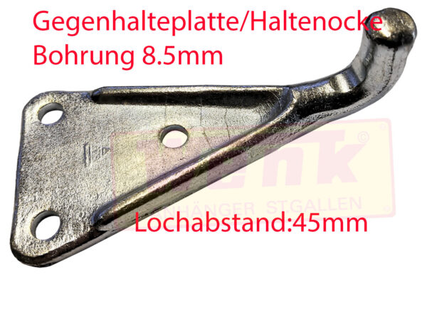 Gegenhalteplatte/Haltenocke zu Exczenterverschluss 3063001