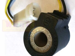 Magnetspule Ablassventil 12V